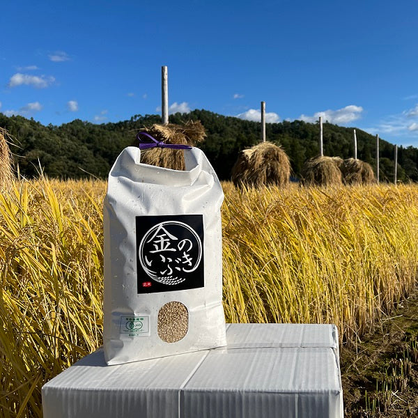 【令和7年産】有機JAS 無農薬・無化学肥料 金のいぶき