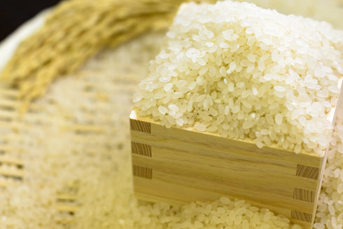 【令和7年産】特別栽培米 つや姫