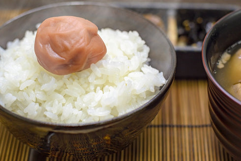 【令和7年産】特別栽培米 雪若丸