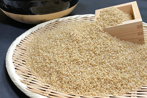 【令和7年産】特別栽培米 つや姫